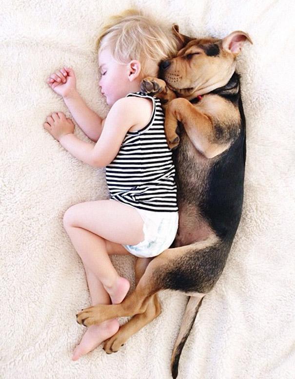 toddler-naps-with-puppy-theo-and-beau-2-13
