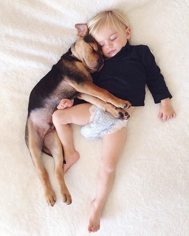 toddler-naps-with-puppy-theo-and-beau-2-7