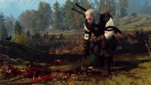 www-Witcher3review3