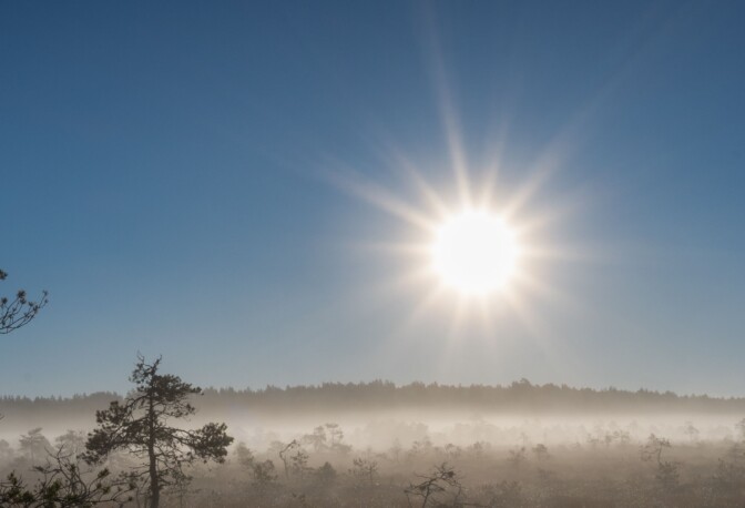 Auringonvalosta tuli mielenkiintoinen tutkimus – mikä yhteys Alzheimerin tautiin?