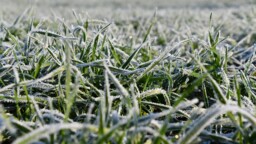 Meteorologi sanoi sanan joka loksauttaa leuat: Pakkasia!