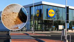 Lidl toi tänään myyntiin 5 euron imurin – testasimme sen heti