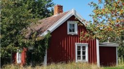 Ok-talon asukas tuli kotiin ja löysi vessastaan hirven