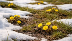 Kevätkääk! Nyt tuli uutta säätietoa