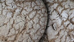 Yle: rakastettu suomalaisyritys konkurssiin