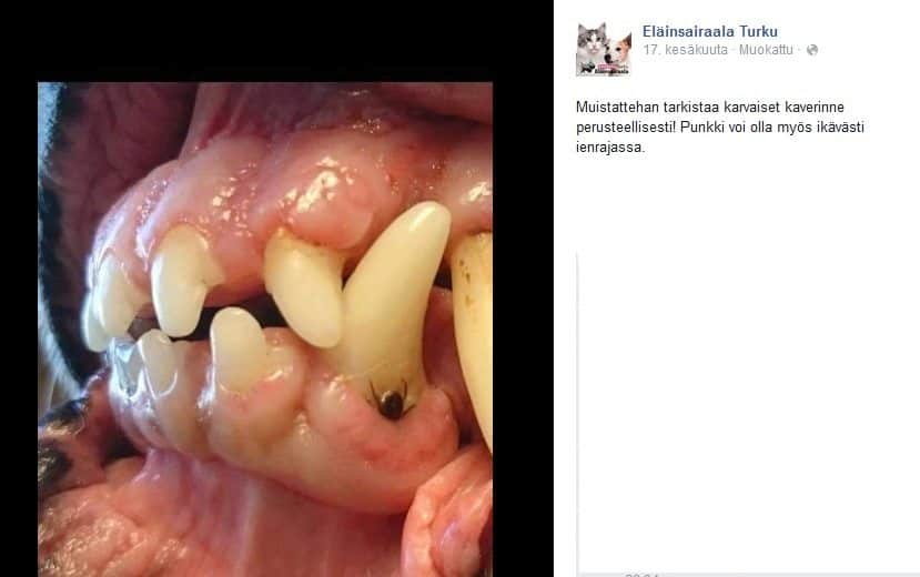 kontakten fi parhaat ilmaiset pornosivut kontakten fi parhaat ilmaiset pornosivut